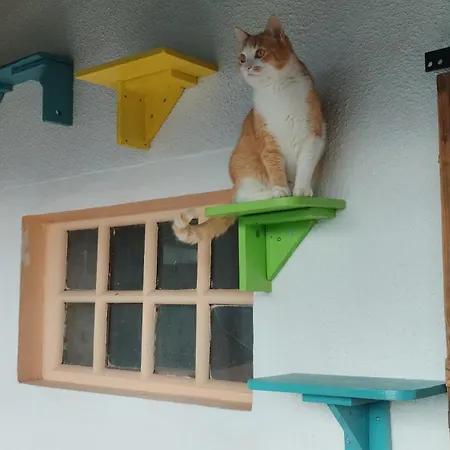 Apartmán Hisa Tarka Dobrovnik