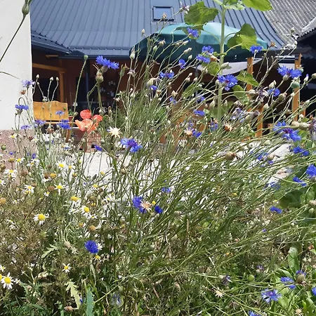 Hisa Tarka Apartment *