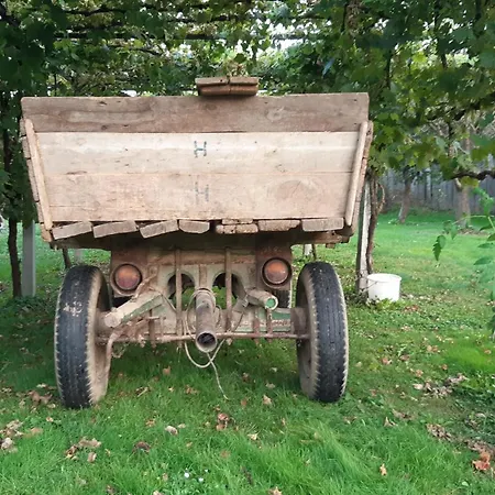 Apartment Hisa Tarka Dobrovnik