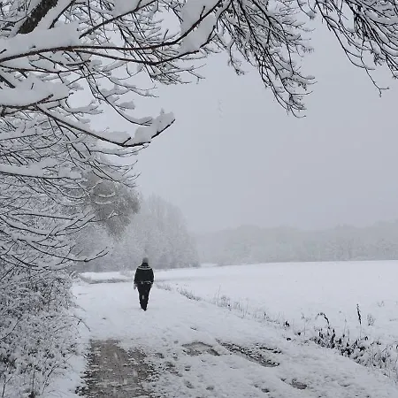 Apartment Hisa Tarka