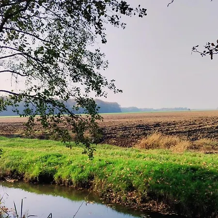 Apartment Hisa Tarka *