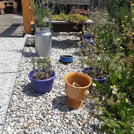 Hisa Tarka Apartmán Dobrovnik