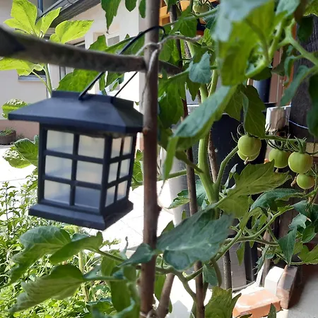 Apartmán Hisa Tarka Dobrovnik