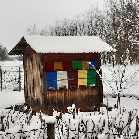 Hisa Tarka * Dobrovnik