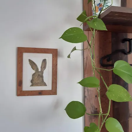 Apartmán Hisa Tarka *