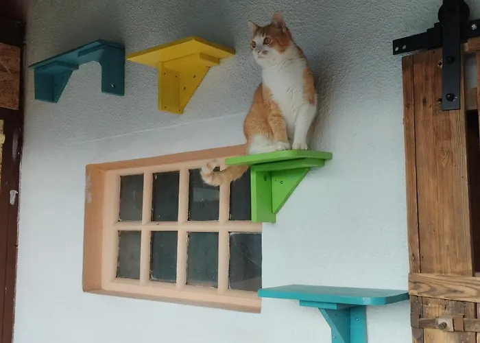 شقة Hisa Tarka دوبروفنيك