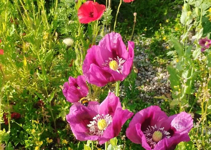 Διαμέρισμα Hisa Tarka *