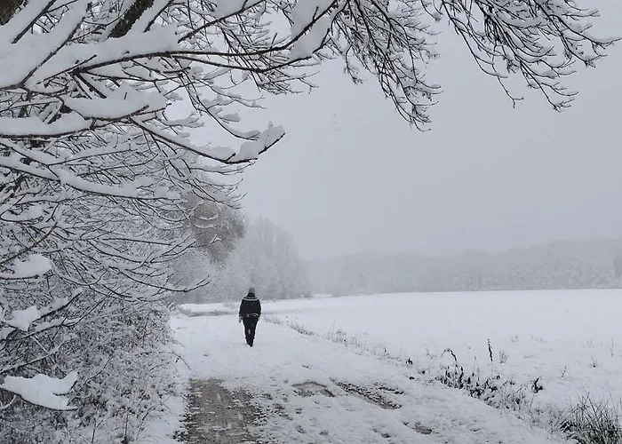 Διαμέρισμα Hisa Tarka