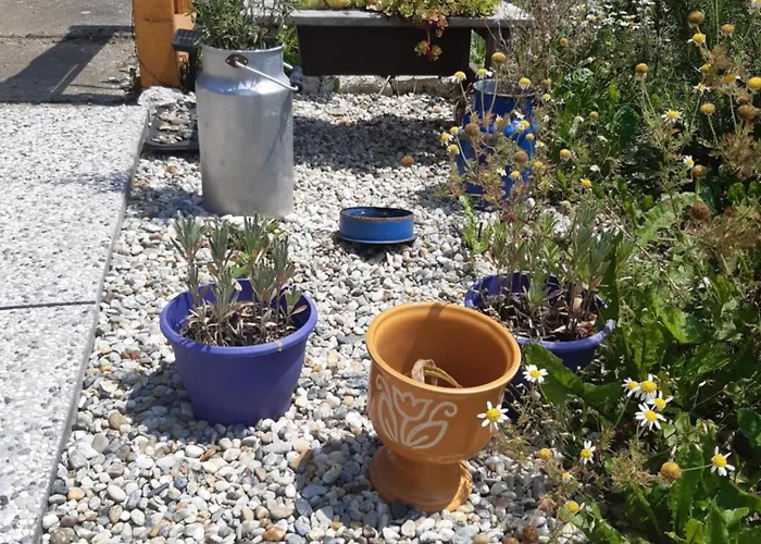 Hisa Tarka Διαμέρισμα Dobrovnik