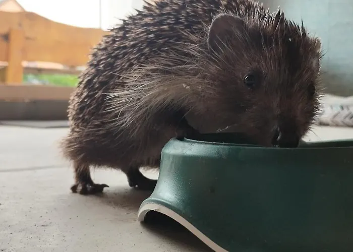 Διαμέρισμα Hisa Tarka Dobrovnik